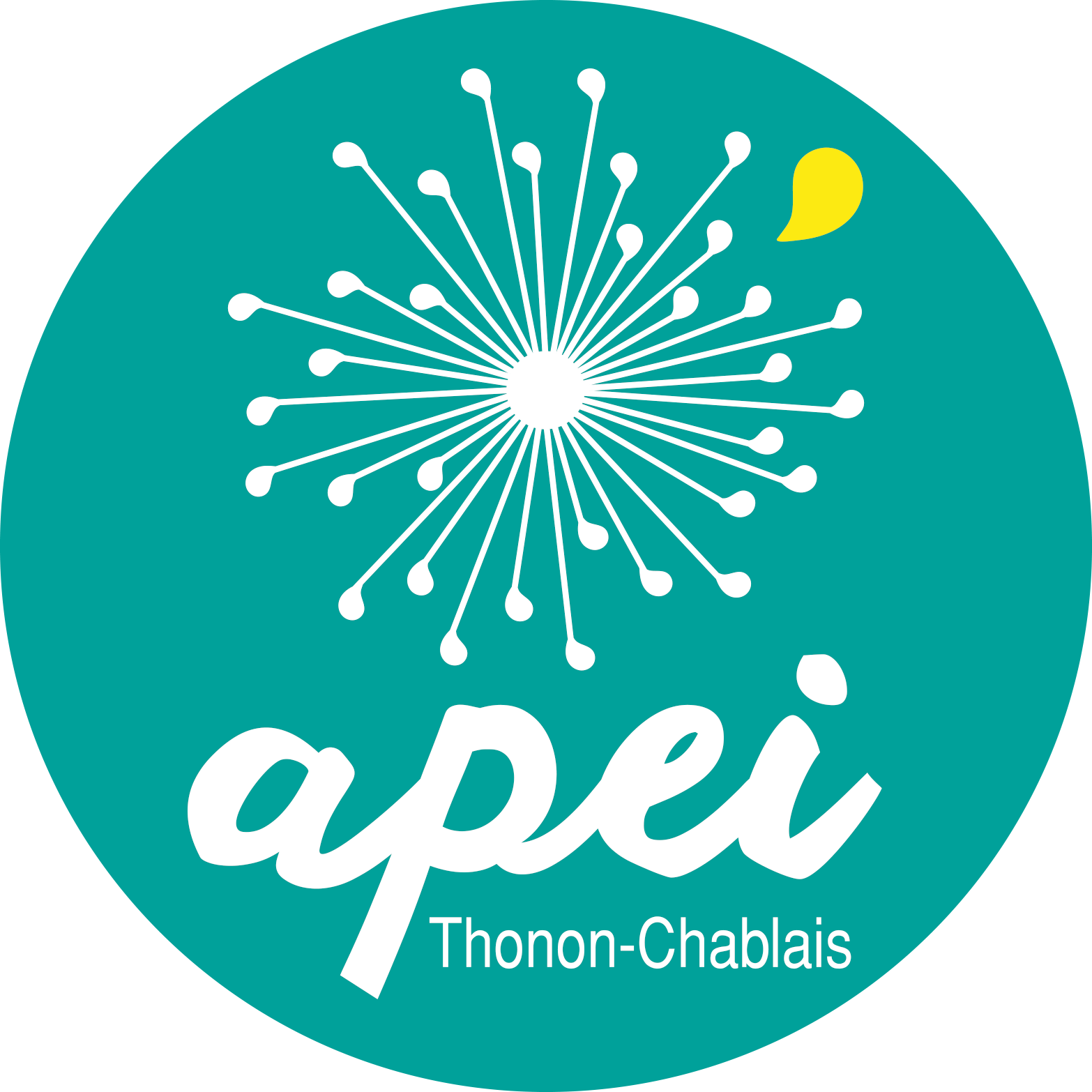 Logo apei du Chablait 